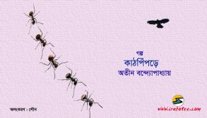 Irabotee.com,irabotee,sounak dutta,ইরাবতী.কম,copy righted by irabotee.com