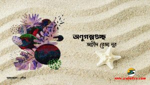 Irabotee.com,irabotee,sounak dutta,ইরাবতী.কম,copy righted by irabotee.com