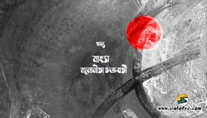 Irabotee.com,irabotee,sounak dutta,ইরাবতী.কম,copy righted by irabotee.com