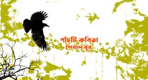 Irabotee.com,irabotee,sounak dutta,ইরাবতী.কম,copy righted by irabotee.com,bangla kobita shaibal noor