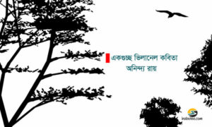 Irabotee.com,irabotee,sounak dutta,ইরাবতী.কম,copy righted by irabotee.com,A French verse Villanelle