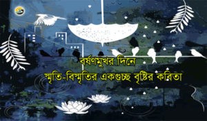 Irabotee.com,irabotee,sounak dutta,ইরাবতী.কম,copy righted by irabotee.com,bristir-kobita borshar kabbya