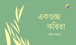 Irabotee.com,irabotee,sounak dutta,ইরাবতী.কম,copy righted by irabotee.com,Shamim Azad bangla kobita