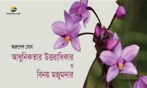 Irabotee.com,irabotee,sounak dutta,ইরাবতী.কম,copy righted by irabotee.com,The legacy of modernity binoy-majumdar