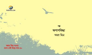 Irabotee.com,irabotee,sounak dutta,ইরাবতী.কম,copy righted by irabotee.com,amar mitra r golpo aapapbidhya