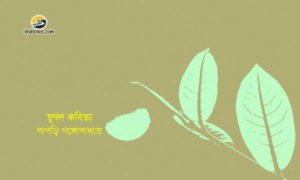 Irabotee.com,irabotee,sounak dutta,ইরাবতী.কম,copy righted by irabotee.com,bangla kobita by papri ganguly