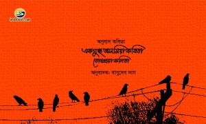 Irabotee.com,irabotee,sounak dutta,ইরাবতী.কম,copy righted by irabotee.com,assamese-poetry-by-toshprabha-kalita