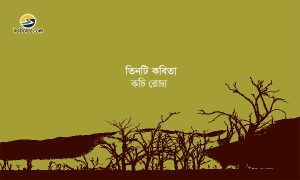 Irabotee.com,irabotee,sounak dutta,ইরাবতী.কম,copy righted by irabotee.com,bangla kobita by kobi kochi reza