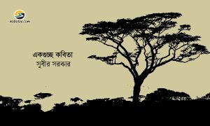 Irabotee.com,irabotee,sounak dutta,ইরাবতী.কম,copy righted by irabotee.com,bangla kobita by kobi subir sarkar